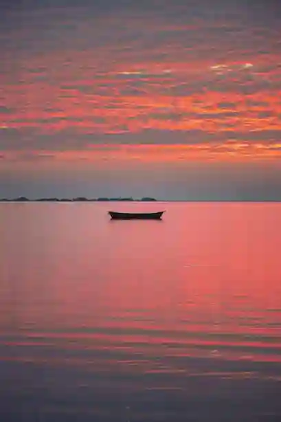 gallery-img